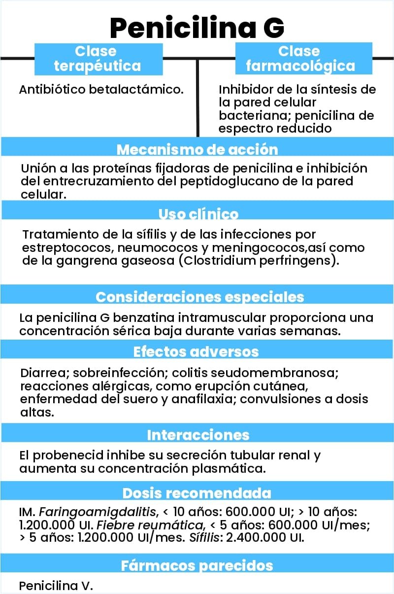 FlashCard ejemplo